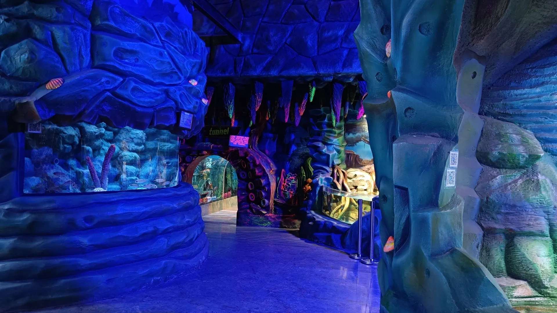 Ocean vs Aquarium: What Changes in Real Terms